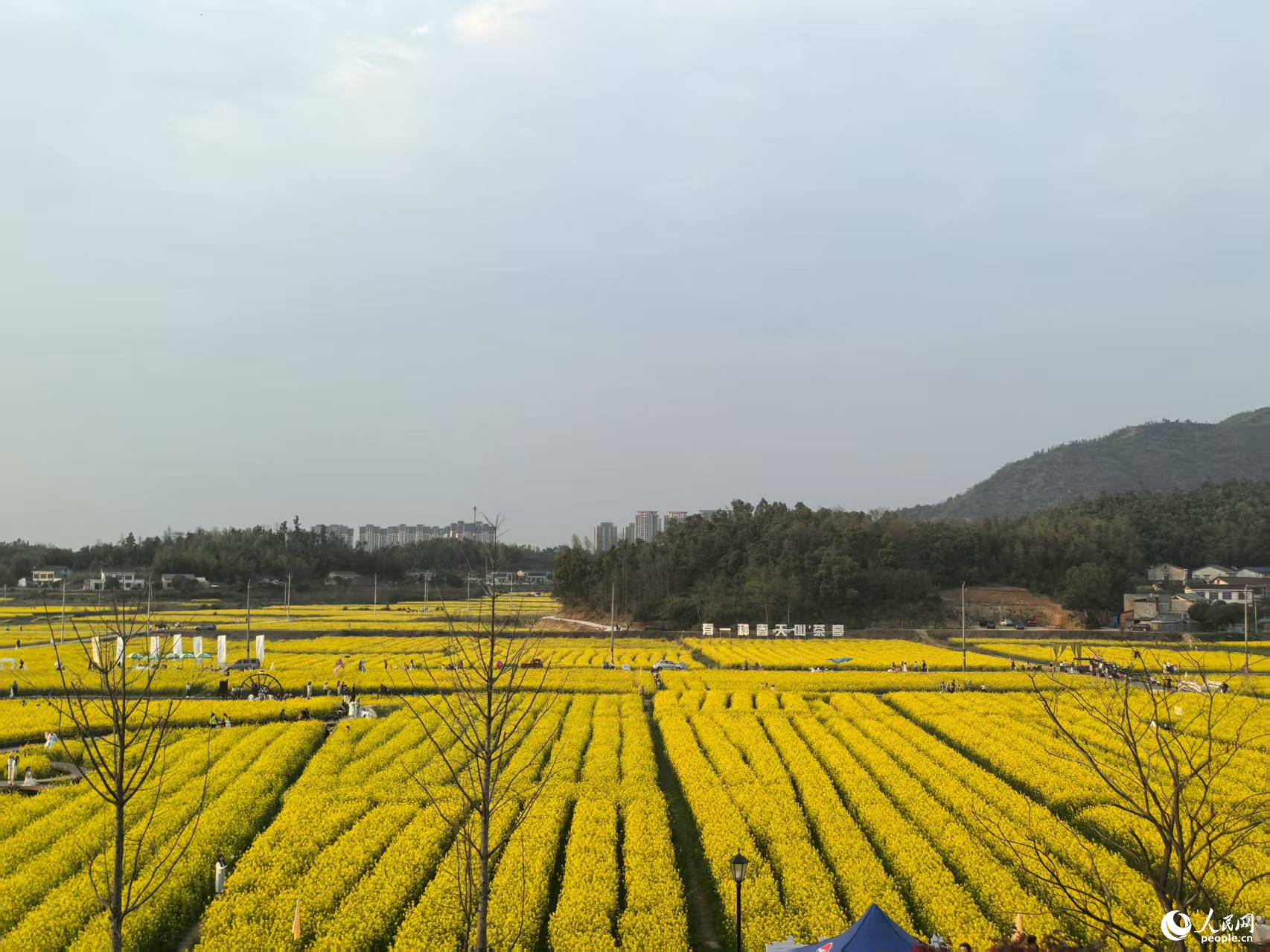 BD半島APP村落復(fù)興看“湘”村